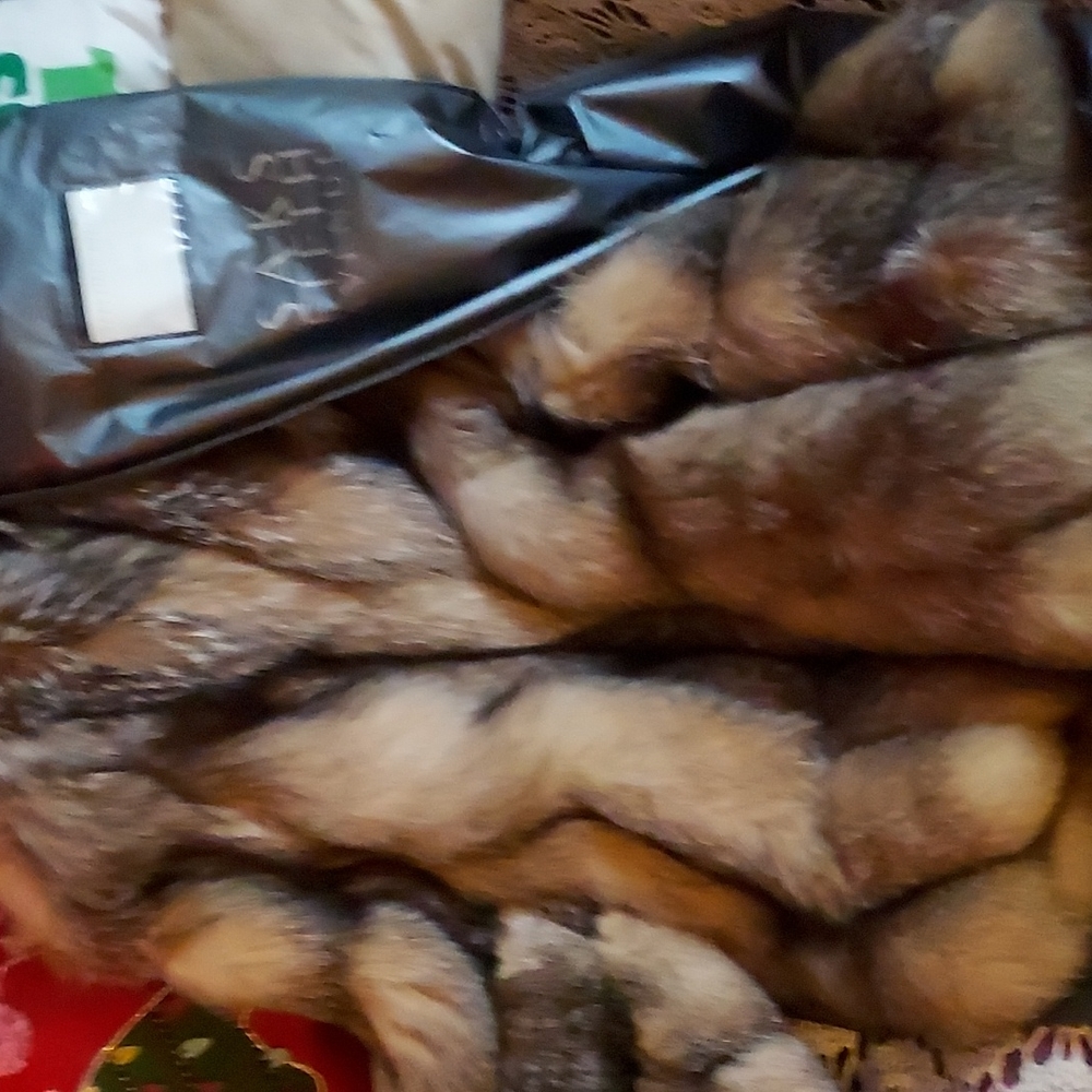 Silver fox fur coat